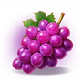 grape